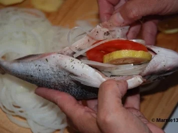 Dorade aus dem Ofen - Rezept - Bild Nr. 4