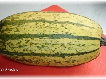 Salat - Salat mit Spaghetti-Kürbis - Rezept - Bild Nr. 2