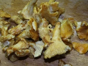 Rezept: Mein Freund Harvey de Luxe Bild Nr. 7 Mein Freund Harvey de Luxe - Rezept - Bild Nr. 7