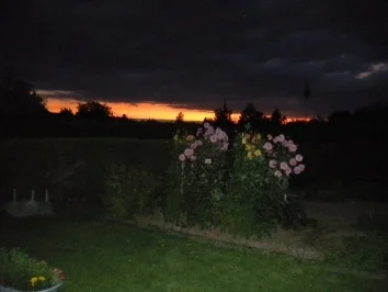 Rezept: Pferdesteak mit Reis Bild Nr. 2 Pferdesteak mit Reis - Rezept - Bild Nr. 2