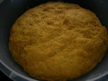 Rezept: Kürbisbrot Bild Nr. 3 Kürbisbrot - Rezept - Bild Nr. 3