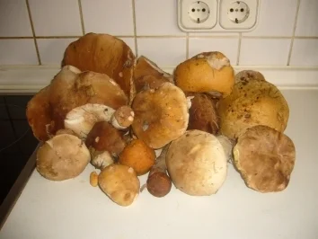 "Draus vom Walde komm ich her"  Mischpilze - Rezept