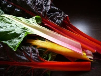 Mangoldroulade - Rezept - Bild Nr. 2