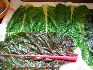 Mangoldroulade - Rezept - Bild Nr. 3