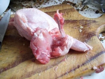 Erdans gefüllte Wachtel - Rezept - Bild Nr. 2