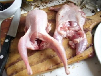 Erdans gefüllte Wachtel - Rezept