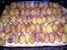 Rezept: KUCHEN: Pflaumen-Hefekuchen vom Blech KUCHEN: Pflaumen-Hefekuchen vom Blech - Rezept
