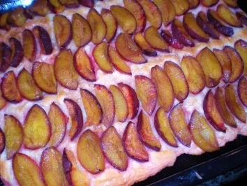 Rezept: KUCHEN: Pflaumen-Hefekuchen vom Blech Bild Nr. 6 KUCHEN: Pflaumen-Hefekuchen vom Blech - Rezept - Bild Nr. 6