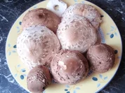 Gebackene Parasol - Rezept