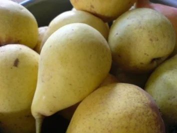 Birnen-Schoko-Nuss-Torte - Rezept - Bild Nr. 5