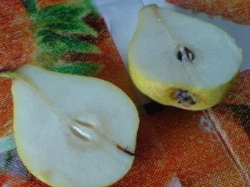 Creme Birne Helene - Rezept - Bild Nr. 15