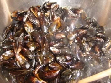 MIESMUSCHELN "LUXEMBURGISCHE ART" - Rezept - Bild Nr. 6