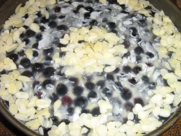 Rezept: Burgunder-Trauben-Torte Bild Nr. 9 Burgunder-Trauben-Torte - Rezept - Bild Nr. 9