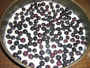 Rezept: Burgunder-Trauben-Torte Bild Nr. 5 Burgunder-Trauben-Torte - Rezept - Bild Nr. 5