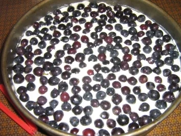 Rezept: Burgunder-Trauben-Torte Bild Nr. 7 Burgunder-Trauben-Torte - Rezept - Bild Nr. 7