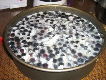 Rezept: Burgunder-Trauben-Torte Bild Nr. 8 Burgunder-Trauben-Torte - Rezept - Bild Nr. 8