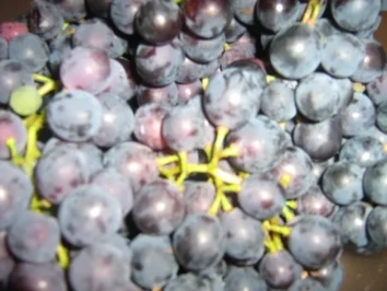 Burgunder-Trauben-Apfel-Chutney - Rezept