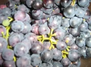 Burgunder-Trauben-Apfel-Chutney - Rezept