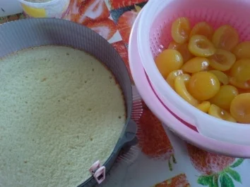 Aprikosen-Torte - Rezept - Bild Nr. 3