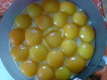 Aprikosen-Torte - Rezept - Bild Nr. 4