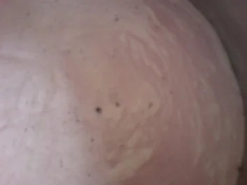 Blaubeer-Sahne-Torte - Rezept - Bild Nr. 19