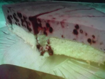 Blaubeer-Sahne-Torte - Rezept - Bild Nr. 23