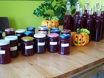 Rezept: Weintraubengelee Weintraubengelee - Rezept