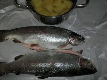 Regenbogen Forellen mit Kraüter Kartoffeln - Rezept