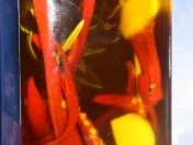 Sonstiges: Feuriges Kräuteröl - Rezept