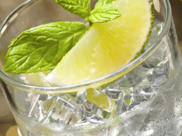 18 Mojito Ohne Alkohol Rezepte Kochbar De