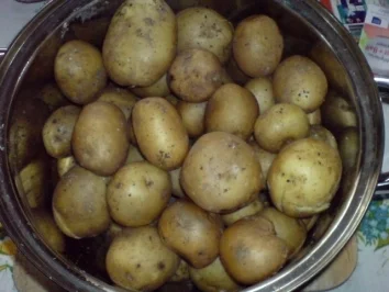 Hähnchenschnitzelchen - Rezept - Bild Nr. 13