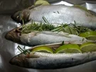 Gegrillte Grüne Heringe - Rezept
