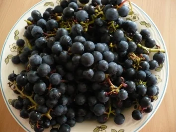 Rezept: Trauben - Marmelade Bild Nr. 2 Trauben - Marmelade - Rezept - Bild Nr. 2