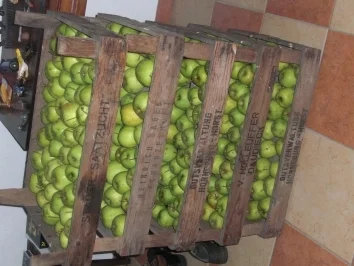 Apfelgelee mit Ingwernote - Rezept