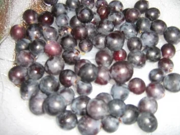 Rezept: Burgunder-Gulasch Bild Nr. 3 Burgunder-Gulasch - Rezept - Bild Nr. 3