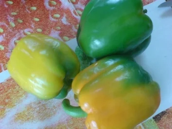 Ein Nest aus frischem Gartengemüse mit gefüllten Hähnchenschnitzel - Rezept - Bild Nr. 9