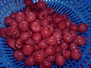 Rezept: Niederlausitzer LPG-Kuchen Bild Nr. 7 Niederlausitzer LPG-Kuchen - Rezept - Bild Nr. 7