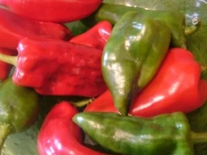 Suppe --- Paprikasuppe - Rezept - Bild Nr. 2