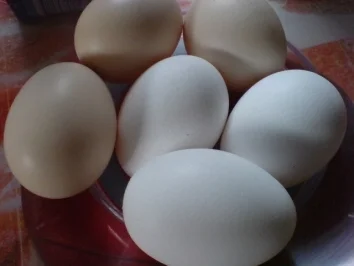 Niederlausitzer Mooskuchen - Rezept - Bild Nr. 6