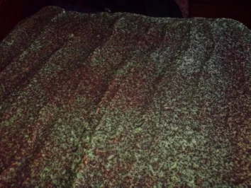 Niederlausitzer Mooskuchen - Rezept - Bild Nr. 24