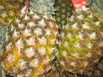 Rezept: GETRÄNKE: Pinacolada ohne Alkohol GETRÄNKE: Pinacolada ohne Alkohol - Rezept