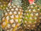 GETRÄNKE: Pinacolada ohne Alkohol - Rezept
