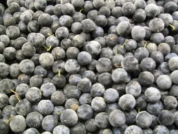 Rezept: Ostseefeuer Bild Nr. 4 Ostseefeuer - Rezept - Bild Nr. 4