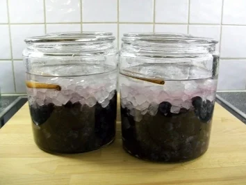 Rezept: Ostseefeuer Ostseefeuer - Rezept