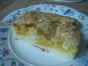 Butterkuchen ohne Hefe mit Mangos und Mandarinen - Rezept