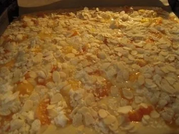 Rezept: Butterkuchen ohne Hefe mit Mangos und Mandarinen Bild Nr. 7 Butterkuchen ohne Hefe mit Mangos und Mandarinen - Rezept - Bild Nr. 7