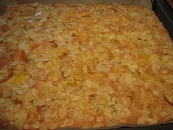 Rezept: Butterkuchen ohne Hefe mit Mangos und Mandarinen Bild Nr. 8 Butterkuchen ohne Hefe mit Mangos und Mandarinen - Rezept - Bild Nr. 8