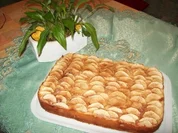 Apfel - Quark - Kuchen - Rezept