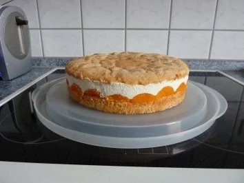 Mandarinen-Käse-Sahne - Rezept - Bild Nr. 3