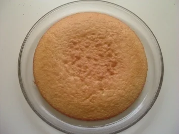 Rezept: TORTE: APRIKOSEN-FRISCHKÄSE-TORTE Bild Nr. 8 TORTE: APRIKOSEN-FRISCHKÄSE-TORTE - Rezept - Bild Nr. 8